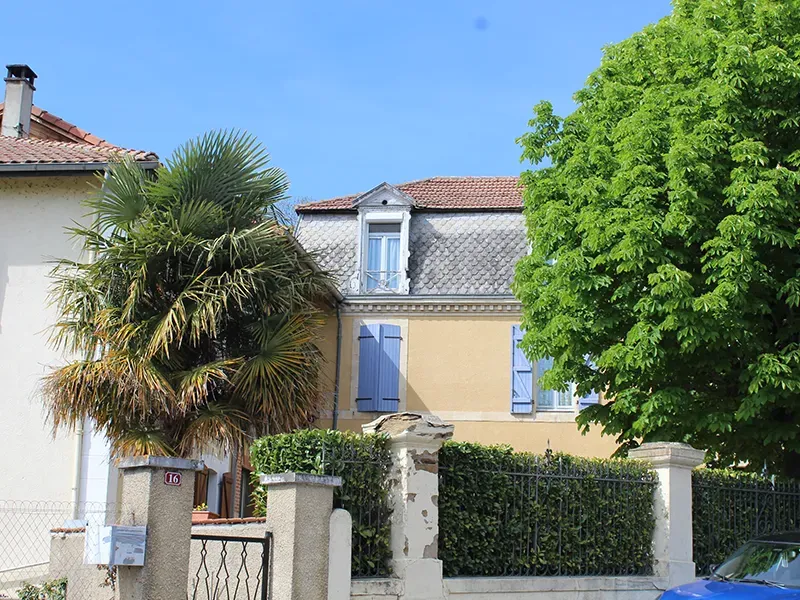 Maison palmier